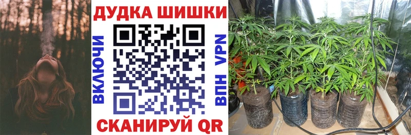 Каннабис план  Купить закладки  Бор 